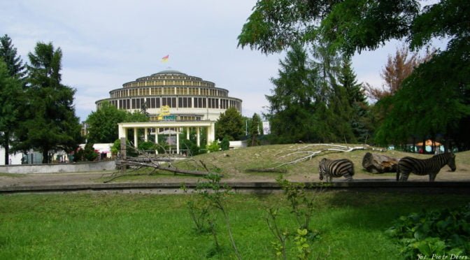 Hala Stulecia widziana z wrocławskiego zoo